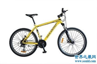 自行车品牌排行前十名 第一名捷安特产自台湾 3 