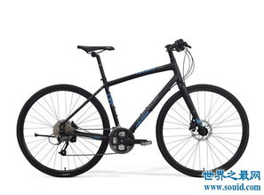 自行车品牌排行前十名 第一名捷安特产自台湾 