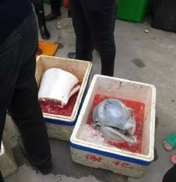 9月9日，陕西一的哥被醉酒男子当街暴打不还手，其身份曝光网友不淡定了。