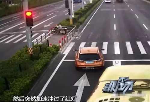 女司机开车不减速一头栽进农田 夫妻俩车内对话曝光走红网络(女司机开车注意事项)