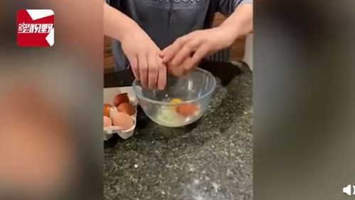 惊奇！女子家母鸡产下10厘米高巨蛋 她敲开后全家人瞬间欢呼