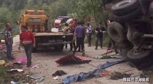 8人捡拾散落大蒜时被货车压倒不幸身亡 事发恐怖现场曝光（图）(大蒜捡拾机)