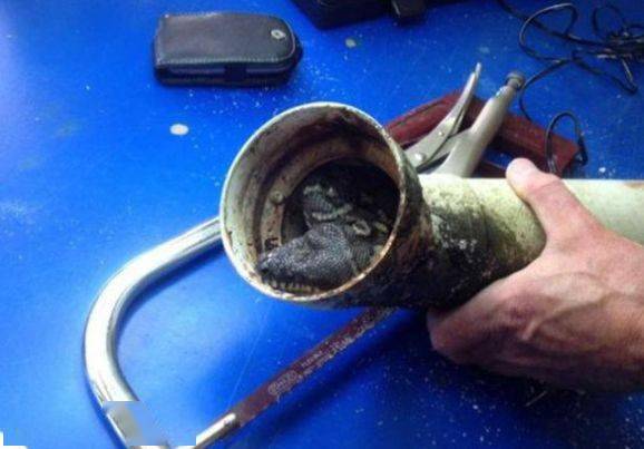 前不久，福建的朱女士网购了一款“3秒疏通下水道”的神器，结果往水池中一倒，可怕的事发生了。
