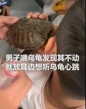 男子被乌龟咬住脸看得人好笑又心疼 同事神操作将他解救（图）