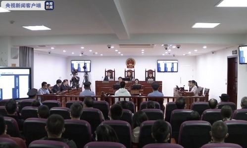 李心草案嫌犯认罪（图）