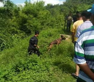 两男童被扔井中身亡（图）(两男童被父亲扔井中)
