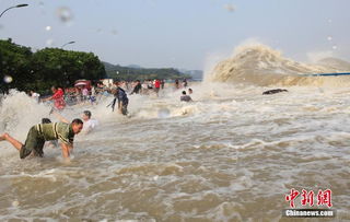 9月20日，浙江钱塘江突然涨潮，凶猛的潮水瞬间涌上道路，行驶中的十几辆私家车被冲走数米，事发(9月20日浙江天气)