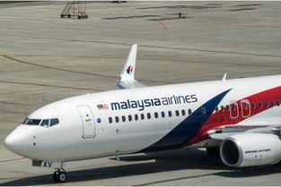 MH370客机飞机死亡螺旋是什么意思 MH370最后飞行纪录片(MH370还在飞吗)