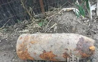 农村地里挖出龙骨 什么土质能挖出龙骨