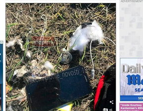 该男子逃离绑架,但被冻死的尸体被啃光了 只有白骨被野兽啃过(逃离绑架房间)