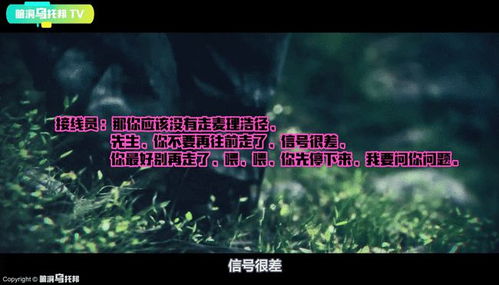探员丁利华神秘失踪事件 丁利华录音曝光（西贡结界之说）(香港探员丁利华)