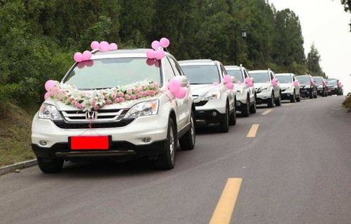 两辆婚车公路狭路相逢不约而同停下 随后一幕万万想不到！