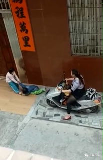 河北暂停自考理论课程报考(河北暂停自考理论课程报考)