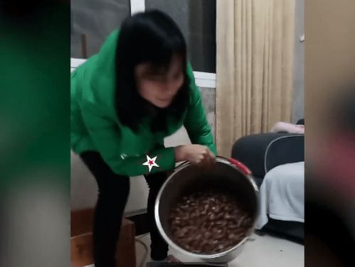 女子捡柴带走松鼠囤的数十斤过冬板栗 几天后结局反转 女子带着板栗回到原来的地方(女子捡柴带走松鼠囤的数十斤过冬板栗)