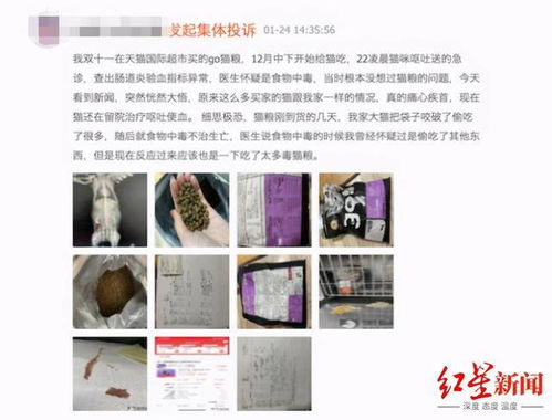 go猫粮被曝有问题（图）(go猫粮被曝有问题批次)