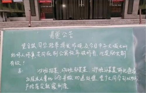 新华社评学生被劝退（图）(新华社学生图像采集)