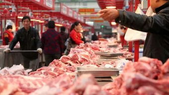 日本杀生猪17万头（图）