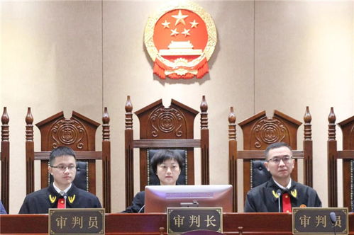 这名妇女侮辱英雄被判刑