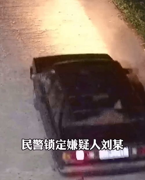 男子靠手捧三晚偷走1200斤玉米（图）(男子靠手捧三晚偷走1200斤玉米 足足捧了2400多趟)