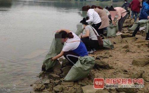 市民不停地把大量的馒头扔进江中 原因太无语