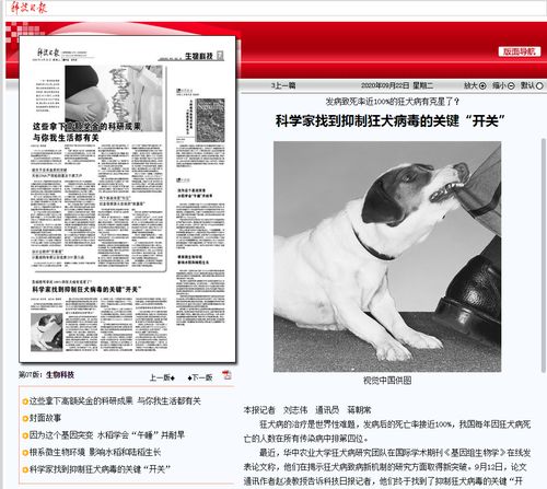 科学家找到抑制狂犬病毒关键开关(科学家找到抑制狂犬病毒关键开关 视频)