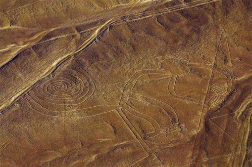 秘鲁发现新地画 为猫科动物图案