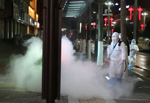 宁波北仑区肺炎疫情防控领导小组发布《关于进一步加强社会防控的(北仑区新冠肺炎)