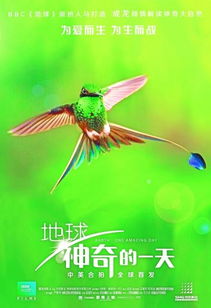 BBC纪录片《地球：神奇的一天》拍摄过程 媒体如何评价(bbc纪录片《地平线》)