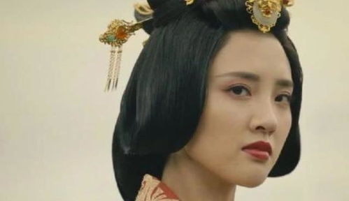 武成皇后胡太后如何成为妓女的(孝静成皇后太后)