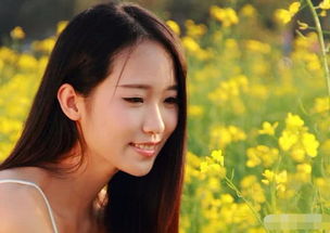 我们常用黄花闺女描述一个还没有结婚的女孩,但你有没有想过这朵