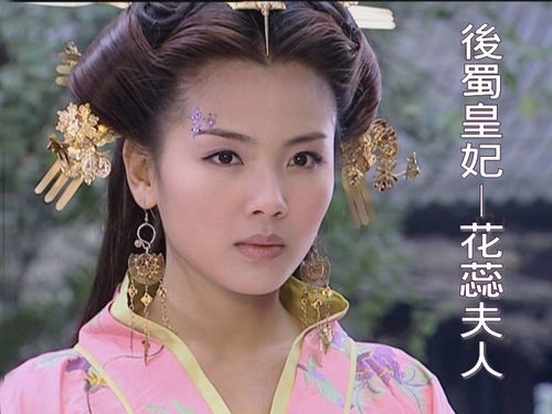 宋太祖强纳花蕊夫人？花蕊夫人此前是谁的妃嫔？（图）