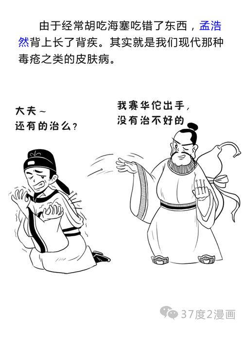 我走进丛林,因为我想过上有意义的生活(走进丛林的英文)