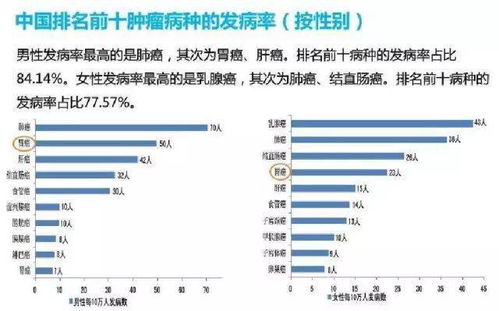 为什么日本和维吾尔族女性为献身于中国男性而自豪?(日本为什么没有维秘专柜)