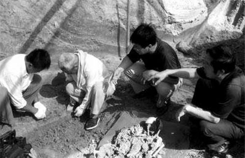 死后,墓地被盗墓贼挖坟,固执尸尸 剃发 说起这个人,汉人非常(武则天的墓地谁盗墓的)
