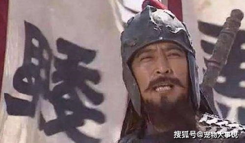 为什么要选择刘备?也许在刘备看来,魏燕的策略更强(赵云为什么选择刘备)