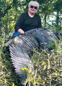 爱马被吃 73岁老人一枪打死鳄鱼报仇（图）