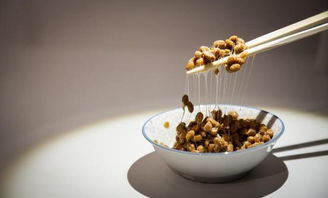 世界上首个最恶心的食品博物馆将开放 皮蛋、辣兔头等入选(世界上最恶心的鸟)