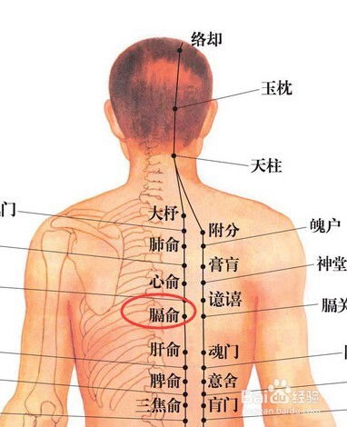 让女人死去的高潮穴道