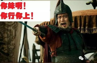 三国典故:袁绍失败的原因_袁氏家族的兴衰之路?