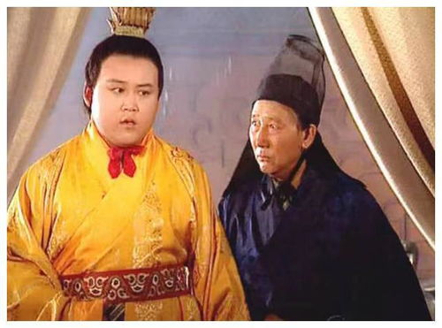 阿斗刘禅真的是昏庸无能的人吗？(刘禅真的是阿斗吗)