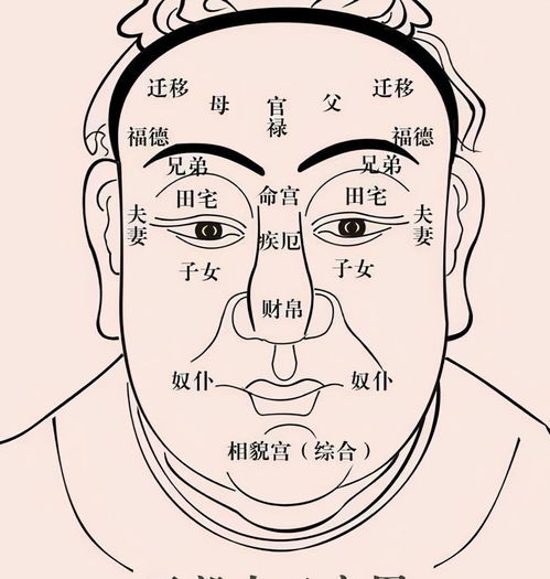 福禄寿,面相归哪里管,有没有福气,看耳朵就行了(福禄寿俱全的面相)