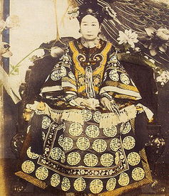 太医为慈禧打胎内幕 之前听说慈禧