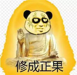 外国网友看小说戒毒瘾 美国小伙看《盘龙》戒掉了毒瘾(外国网友讨论中国小说)