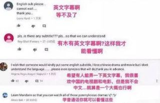 美国网民看中国小说戒毒 外国人如何评价中国网文?(外国网民如何看中国立陶宛)