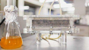 南非生物砖开发 把粪便变成建筑材料