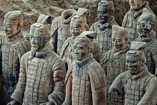 惊人真相!秦始皇陵兵马俑竟暗藏如此玄机（图）(秦始皇焚书坑儒的真相)