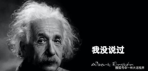 爱因斯坦的大脑至今还活着 被切割成240片(爱因斯坦的大脑被切成240块)