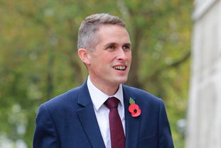 英国国防大臣加文·威廉姆森（Gavin Williamson）:待命严防意外(英国国防大臣简历)
