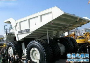 世界最大十辆卡车排名 巨无霸卡车：卡特彼勒797F 利勃海尔T 284(十辆世界上最大的卡车)