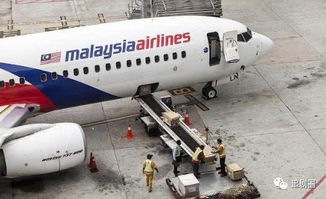 外媒:失踪马航MH370可能是哈萨克斯坦(马航失踪真相揭秘)